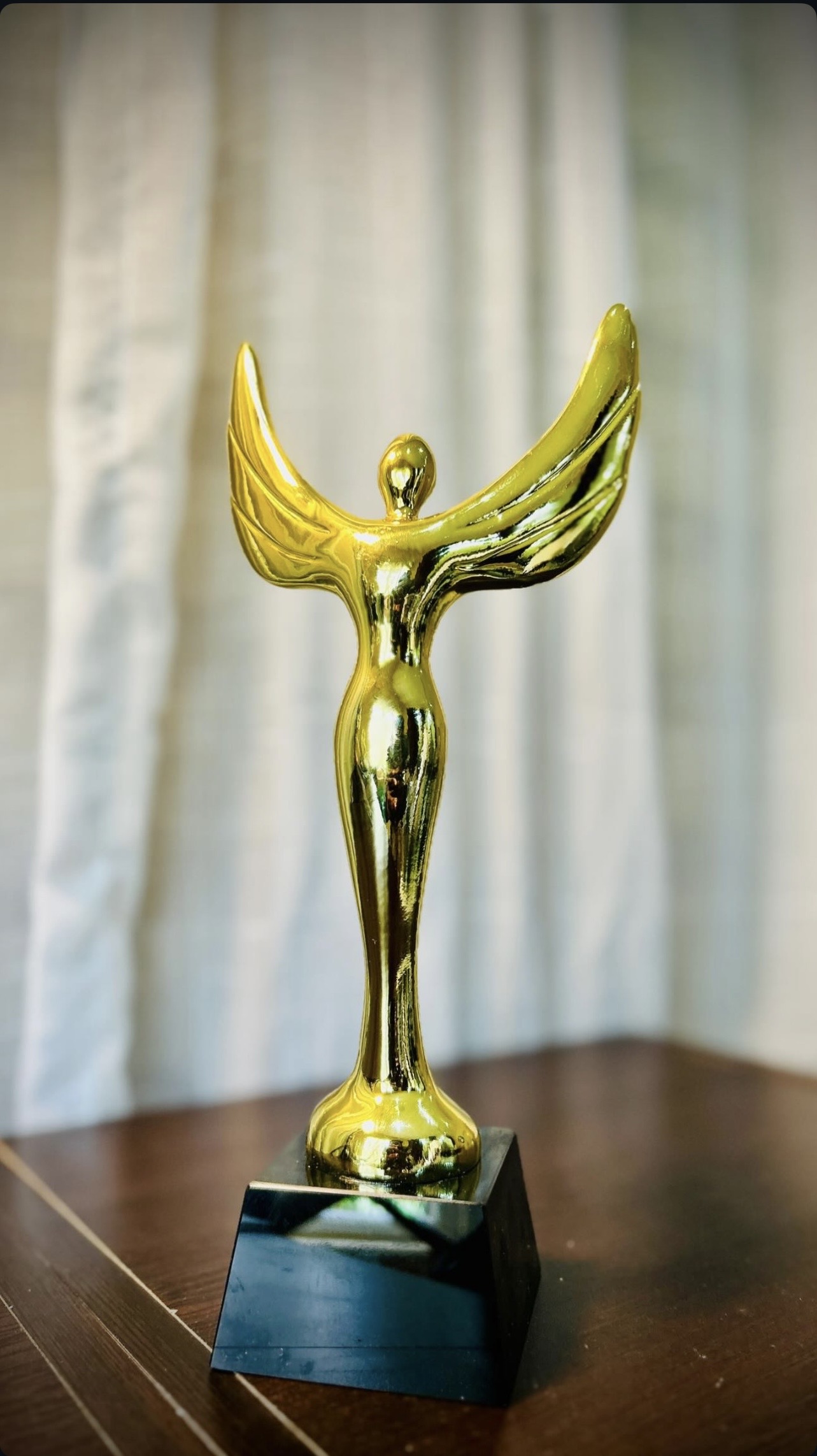 Trophées & Awards